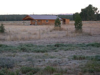 Frosty_morning_in_august
