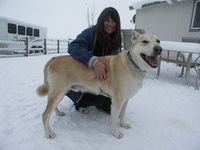 Cedar_back_from_hospital