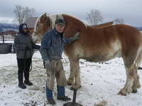 Rich_with_beaver_and_alayne