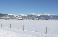 Winter_scene_dec_12_2005