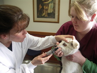 Cody_with_brenda_culver