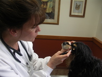 Joey_with_brenda_culver