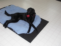 Timmy_with_kong Timmy_with_kong