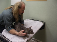 Willis_and_dave_bostwick