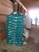 Grain_delivery_march_1