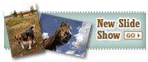 New_slide_show