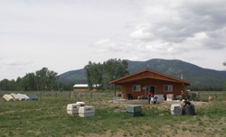 Spring_cleaning_at_widgets_house_1