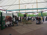 Fundraiser_with_overview