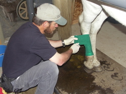 Steve_with_laddies_leg_wound