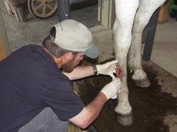 Steve_with_laddies_wound_1