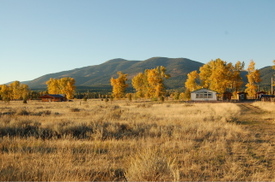 Widgets_house_september_2006