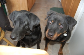 Evelyn_and_helen_at_lunch Evelyn_and_helen_at_lunch