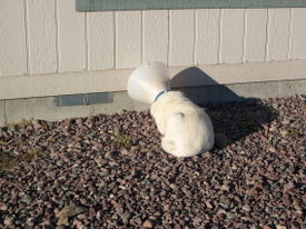 Spinner_with_cone_at_wall