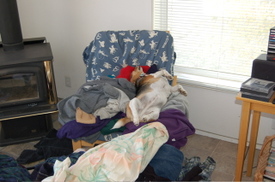 Widget_in_chair_with_laundry