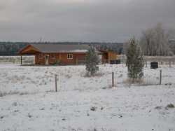 Widgets_house_october_31_2006