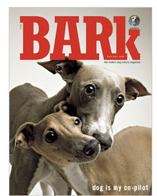Bark_cover