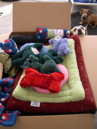 Goldie_with_west_paw_box