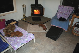 Three_dachshunds_and_a_fire Three_dachshunds_and_a_fire