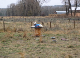 Travis_on_wooden_reel