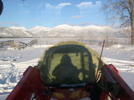View_from_tractor View_from_tractor