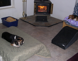 Willie_and_widget_nov_5