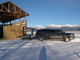 Alayne_on_hay_trailer_1