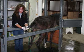 Brynn_getting_spa_treatment