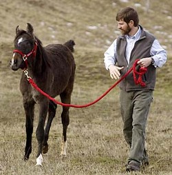 Daily_news_brynn_photo_1