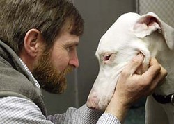 Daily_news_claude_photo_1