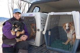 Alayne_with_joey_and_noodle_and_wob