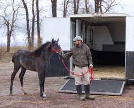 Brynn_goes_to_vet_april_9