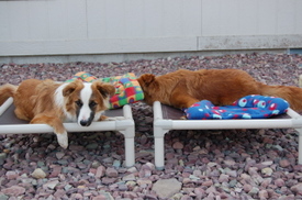 Soba_stealing_noodles_bed