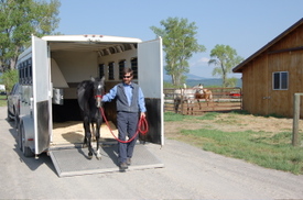 Brynn_unloading_from_trailer