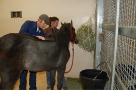 Brynn_with_teri_and_milo