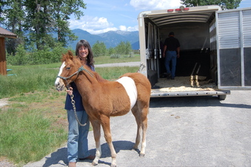 Cash_with_belly_band