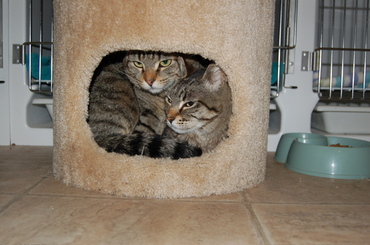 Wobbles_and_claire_in_condo