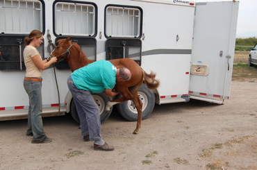 Cash_at_vet_clinic_july_26