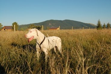 Claude_on_july_4th Claude_on_july_4th