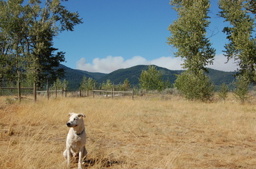 Fire_july_31_with_travis