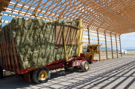 Hay_wagon_inside_hay_barn