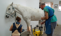 Laddies_xray_july_26