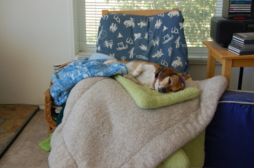 Widget_on_stack_of_beds