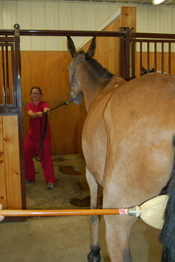 Courtney_tugging_on_roy