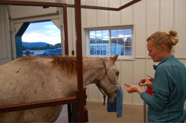 Erin_preparing_tontos_catheter