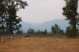 Smoke_with_ovando_mountain_aug_2