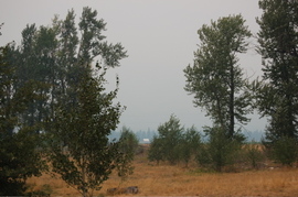 Smoked_out_ovando_mtn_aug_19