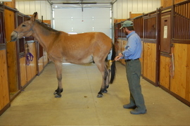 Steve_and_roy_in_aisle