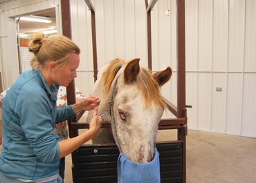 Tonto_and_erin Tonto_and_erin