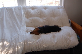 Widget_side_testing_futon Widget_side_testing_futon