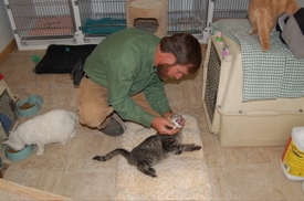 Wobbles_gets_his_amoxi